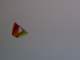Guinness’s little triangular box kite flying high